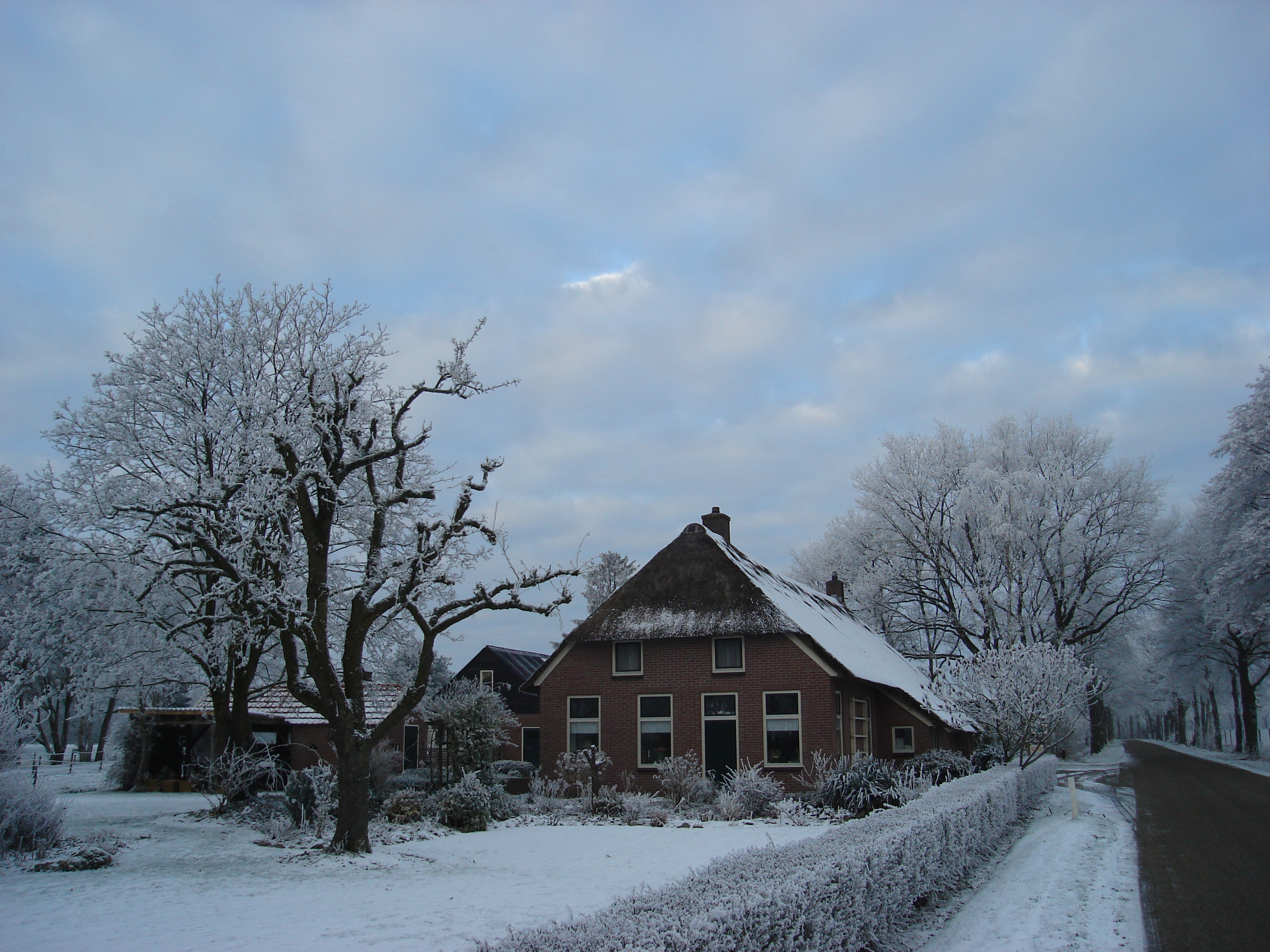 winters plaatje