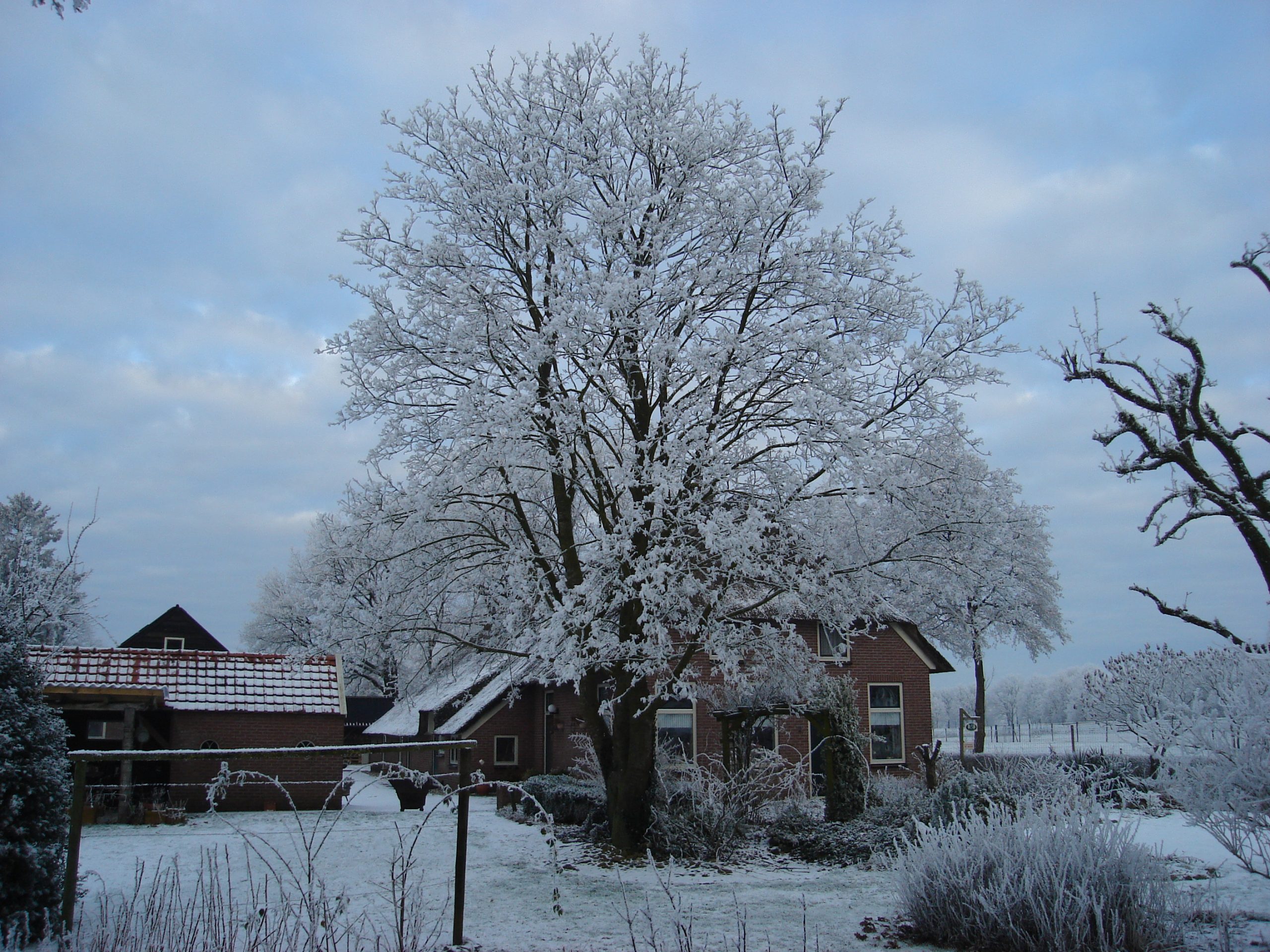 winters tafereel
